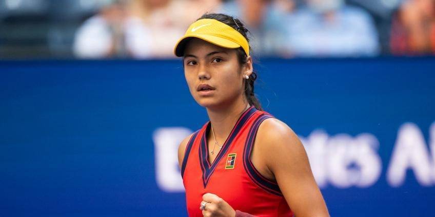 来理想回报 来理想回报